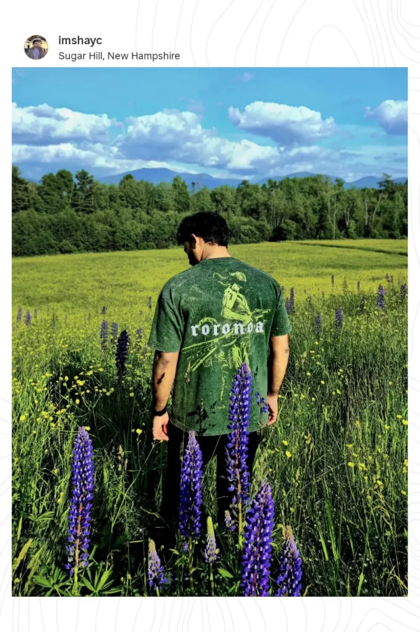 Roronoa Zoro v4 Limited Edition Unisex Shirt - Image 3